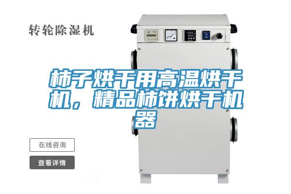 柿子烘干用高溫烘干機，精品柿餅烘干機器