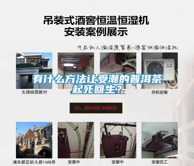 有什么方法讓受潮的普洱茶起死回生？