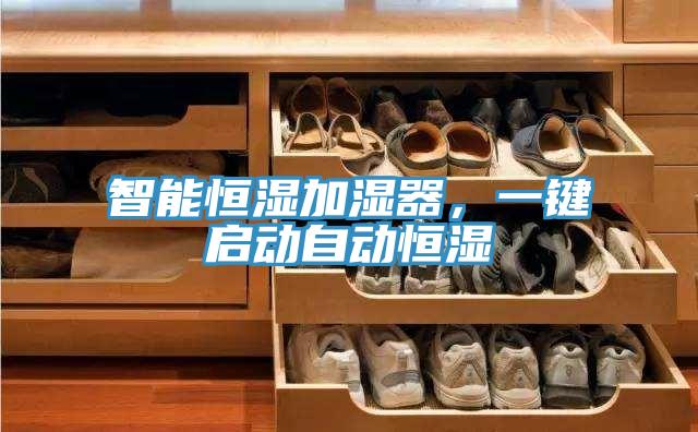 智能恒濕加濕器，一鍵啟動自動恒濕