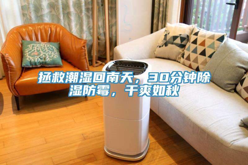 拯救潮濕回南天，30分鐘除濕防霉，干爽如秋