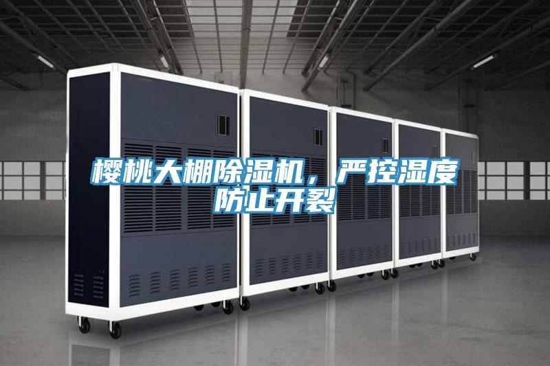 櫻桃大棚除濕機，嚴控濕度防止開裂