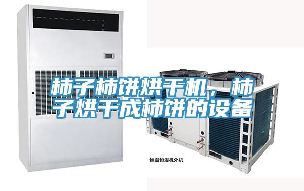 柿子柿餅烘干機，柿子烘干成柿餅的設備
