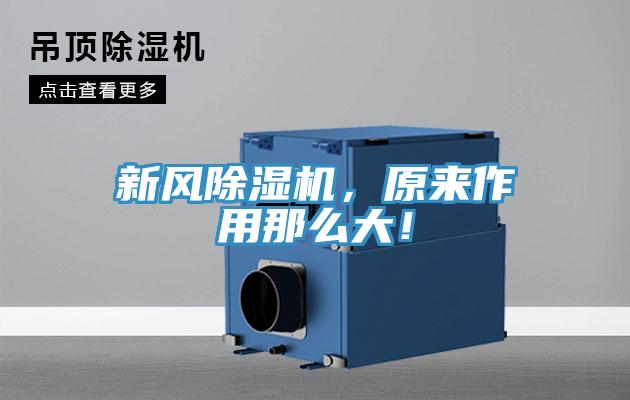 新風(fēng)除濕機(jī)，原來作用那么大！