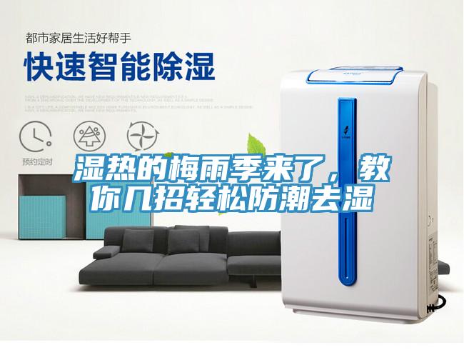 濕熱的梅雨季來(lái)了，教你幾招輕松防潮去濕