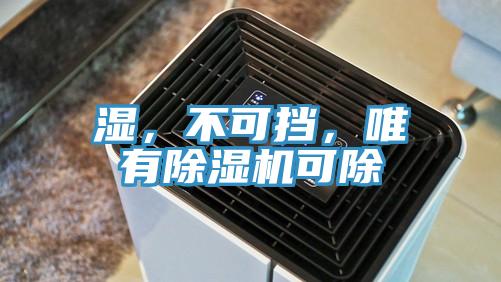 濕，不可擋，唯有除濕機可除