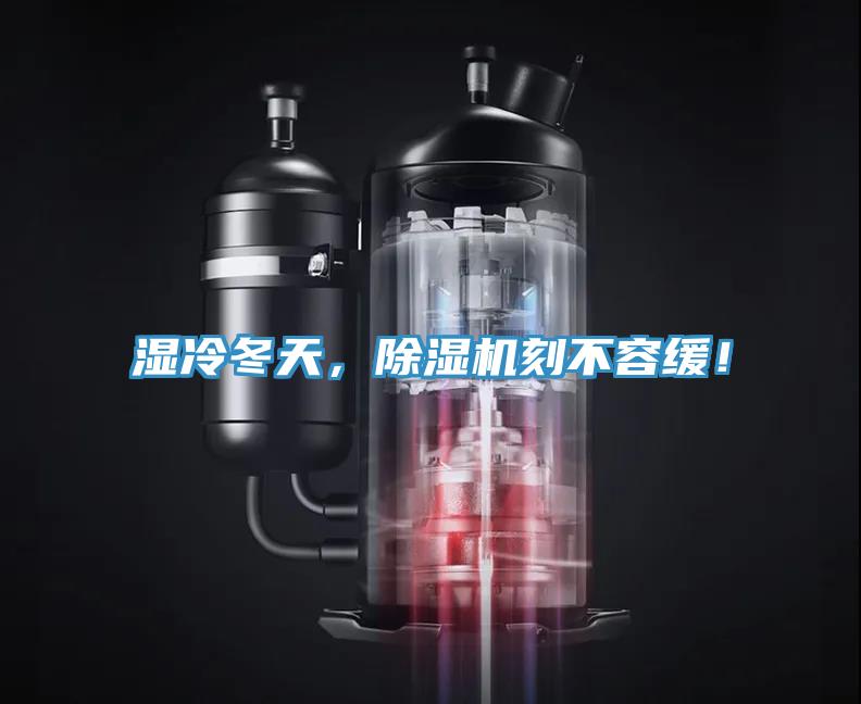 濕冷冬天，除濕機刻不容緩！