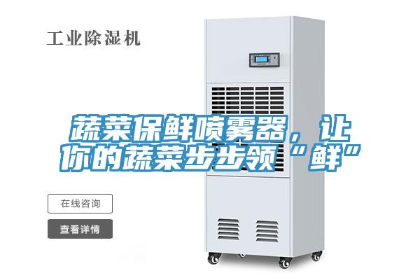 蔬菜保鮮噴霧器，讓你的蔬菜步步領(lǐng)“鮮”