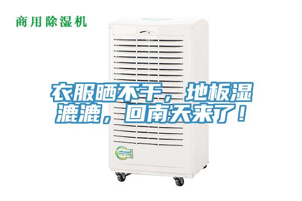 衣服曬不干，地板濕漉漉，回南天來了！