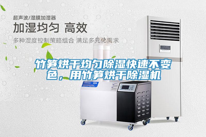 竹筍烘干均勻除濕快速不變色，用竹筍烘干除濕機(jī)