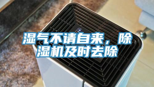 濕氣不請自來，除濕機及時去除