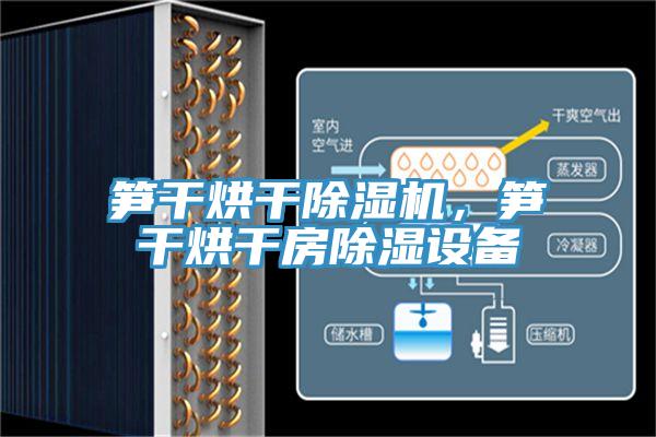 筍干烘干除濕機(jī)，筍干烘干房除濕設(shè)備