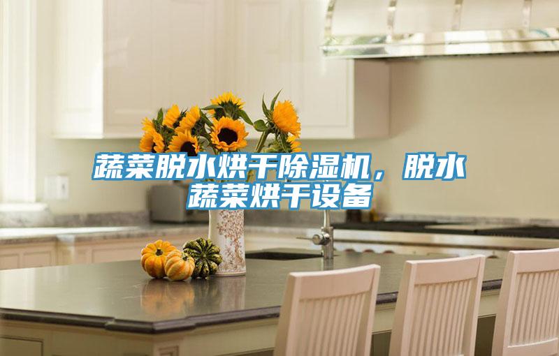 蔬菜脫水烘干除濕機(jī)，脫水蔬菜烘干設(shè)備