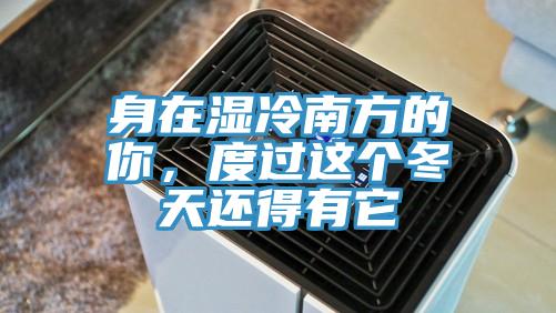 身在濕冷南方的你，度過這個冬天還得有它