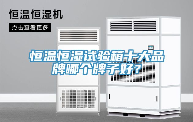 恒溫恒濕試驗箱十大品牌哪個牌子好？