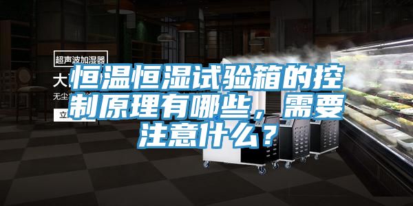恒溫恒濕試驗箱的控制原理有哪些，需要注意什么？
