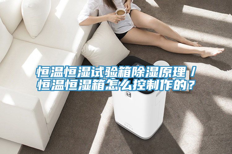 恒溫恒濕試驗(yàn)箱除濕原理／恒溫恒濕箱怎么控制作的？
