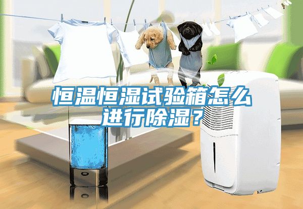 恒溫恒濕試驗(yàn)箱怎么進(jìn)行除濕？