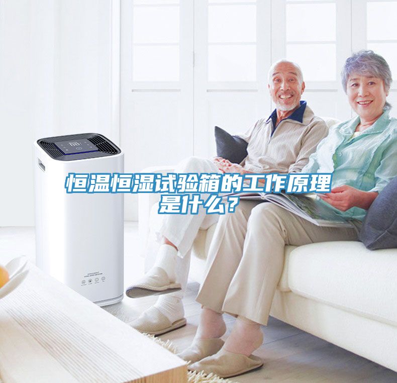 恒溫恒濕試驗箱的工作原理是什么？
