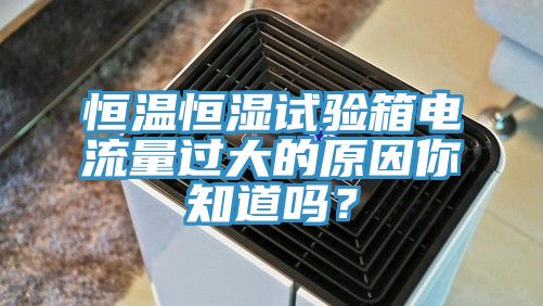 恒溫恒濕試驗(yàn)箱電流量過大的原因你知道嗎？