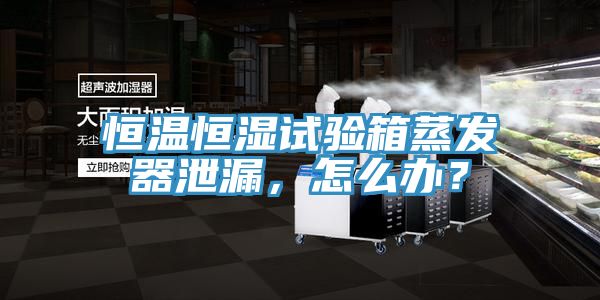恒溫恒濕試驗箱蒸發(fā)器泄漏，怎么辦？