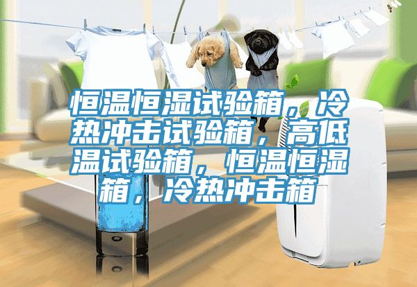 恒溫恒濕試驗箱，冷熱沖擊試驗箱，高低溫試驗箱，恒溫恒濕箱，冷熱沖擊箱