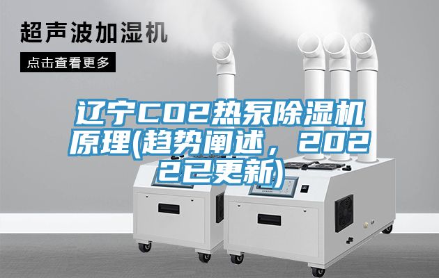 遼寧CO2熱泵除濕機原理(趨勢闡述，2022已更新)