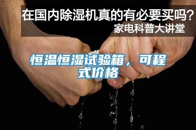 恒溫恒濕試驗箱，可程式價格