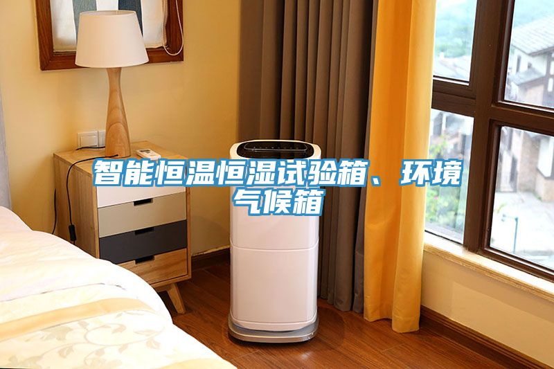 智能恒溫恒濕試驗箱、環(huán)境氣候箱