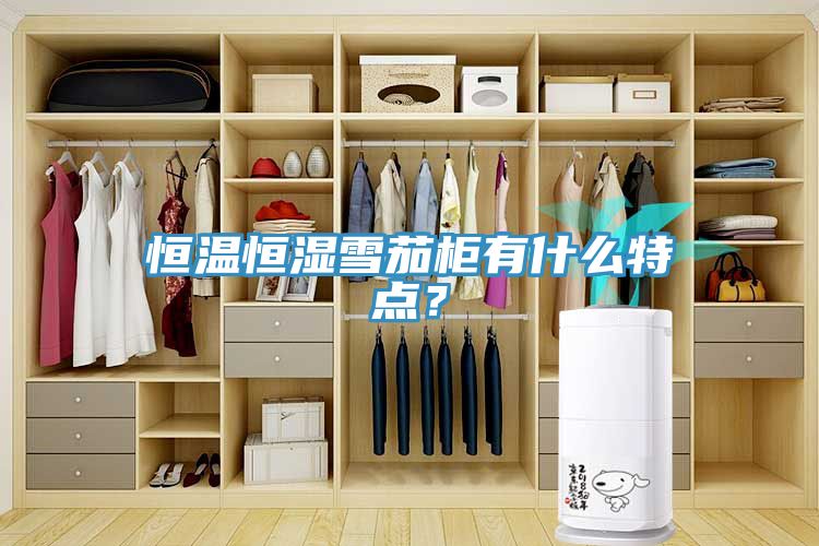 恒溫恒濕雪茄柜有什么特點？