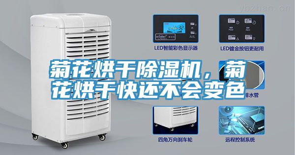 菊花烘干除濕機(jī)，菊花烘干快還不會變色