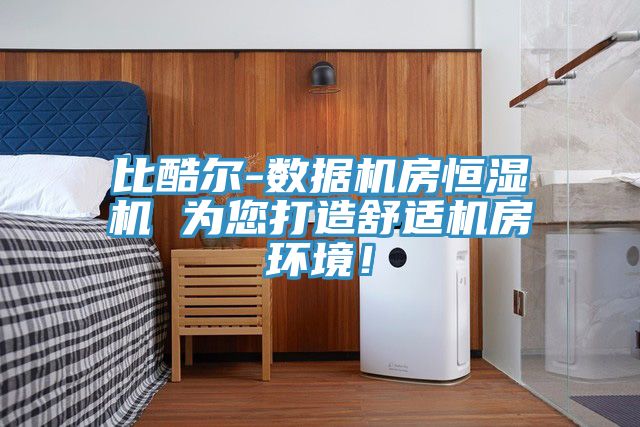 比酷爾-數(shù)據(jù)機房恒濕機 為您打造舒適機房環(huán)境！