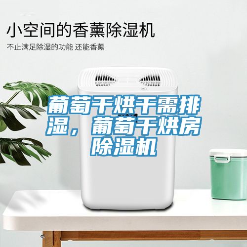 葡萄干烘干需排濕，葡萄干烘房除濕機(jī)