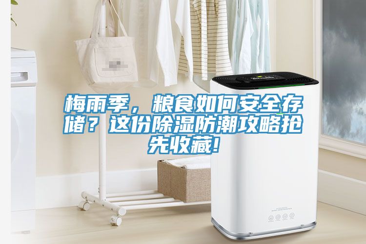 梅雨季，糧食如何安全存儲(chǔ)？這份除濕防潮攻略搶先收藏!