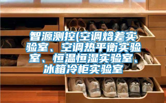 智源測控(空調(diào)焓差實驗室、空調(diào)熱平衡實驗室、恒溫恒濕實驗室、冰箱冷柜實驗室