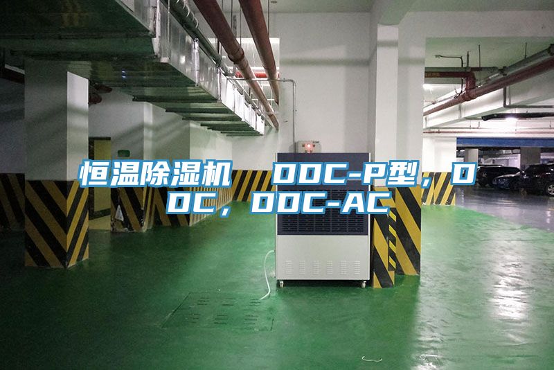 恒溫除濕機(jī)  DDC-P型，DDC，DDC-AC