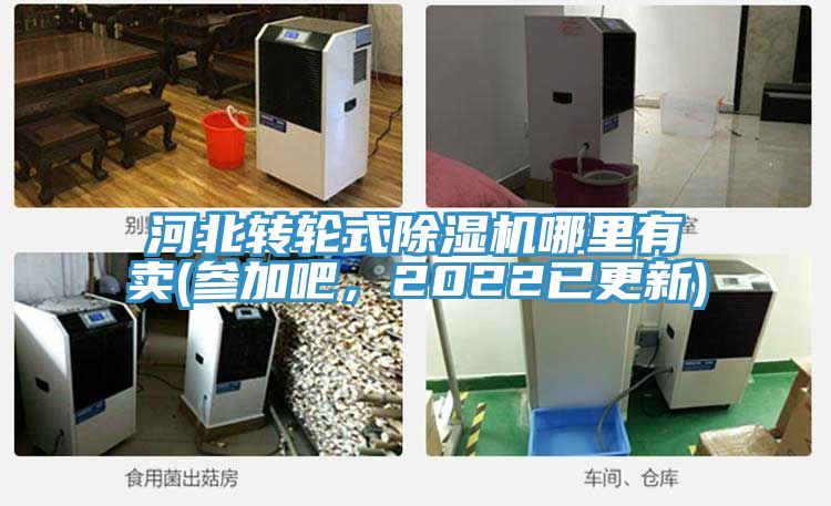 河北轉(zhuǎn)輪式除濕機哪里有賣(參加吧，2022已更新)