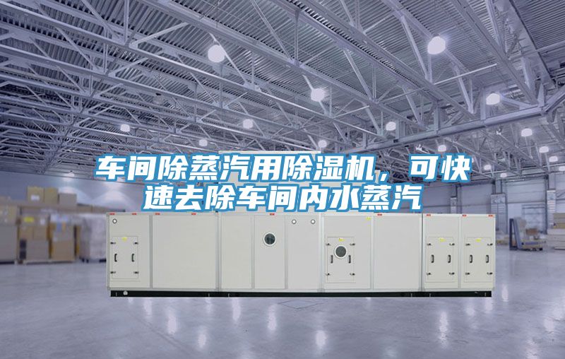 車間除蒸汽用除濕機，可快速去除車間內(nèi)水蒸汽