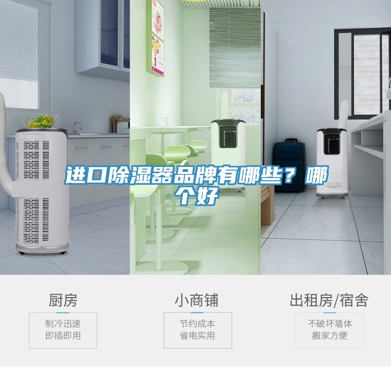 進口除濕器品牌有哪些？哪個好