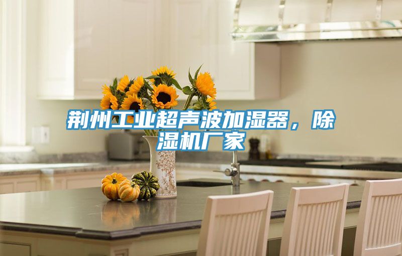 荊州工業(yè)超聲波加濕器，除濕機(jī)廠家