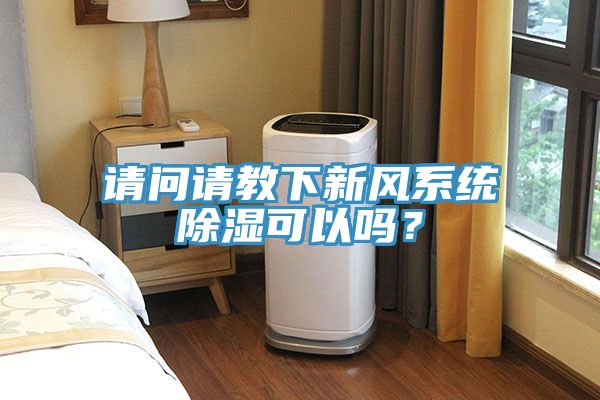 請問請教下新風(fēng)系統(tǒng)除濕可以嗎？