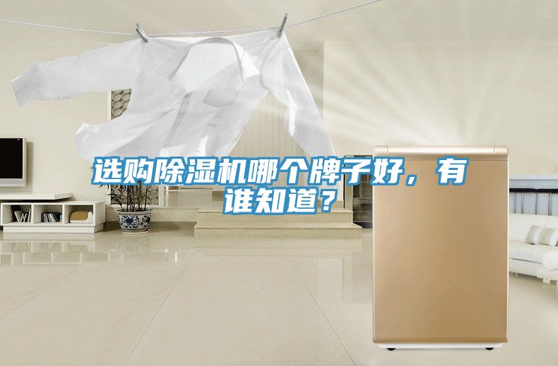 選購(gòu)除濕機(jī)哪個(gè)牌子好，有誰知道？