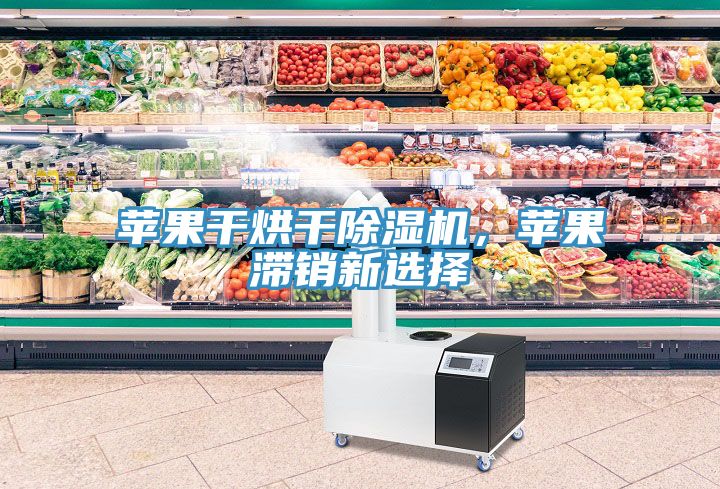 蘋果干烘干除濕機(jī)，蘋果滯銷新選擇