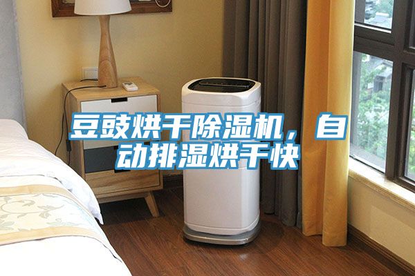 豆豉烘干除濕機，自動排濕烘干快