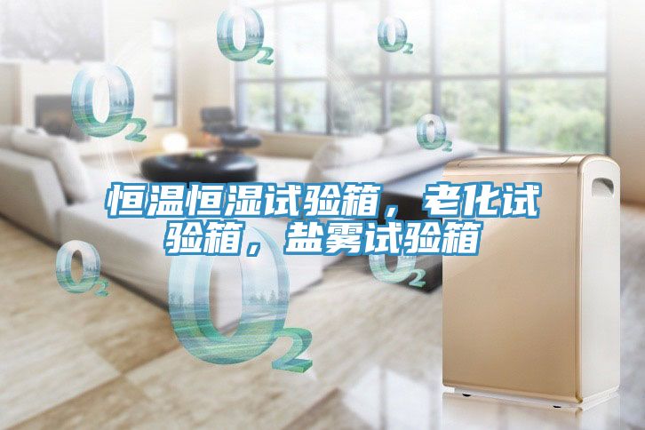 恒溫恒濕試驗箱，老化試驗箱，鹽霧試驗箱