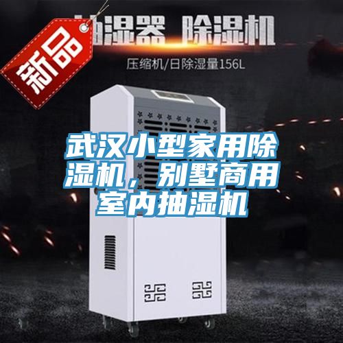武漢小型家用除濕機(jī)，別墅商用室內(nèi)抽濕機(jī)