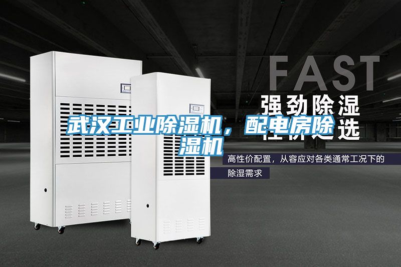武漢工業(yè)除濕機(jī)，配電房除濕機(jī)
