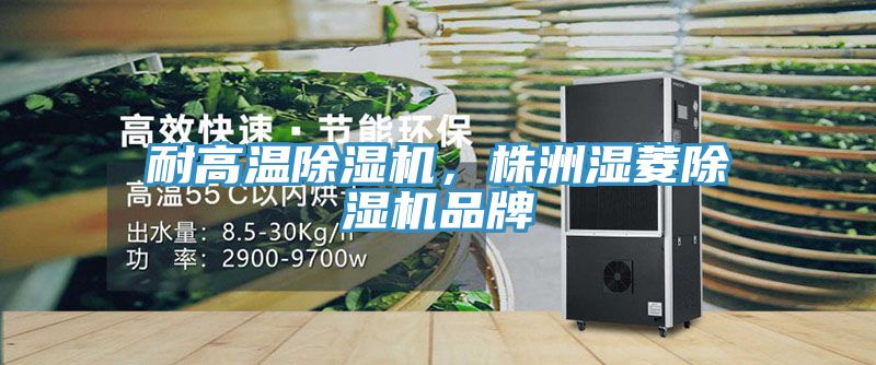 耐高溫除濕機，株洲濕菱除濕機品牌