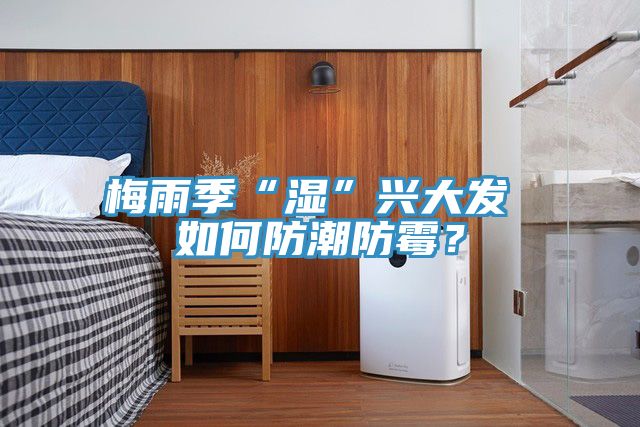 梅雨季“濕”興大發(fā) 如何防潮防霉？