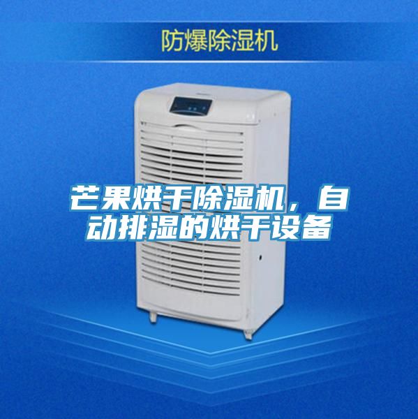 芒果烘干除濕機，自動排濕的烘干設(shè)備