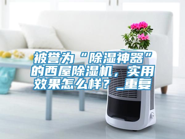 被譽(yù)為“除濕神器”的西屋除濕機(jī)，實(shí)用效果怎么樣？_重復(fù)